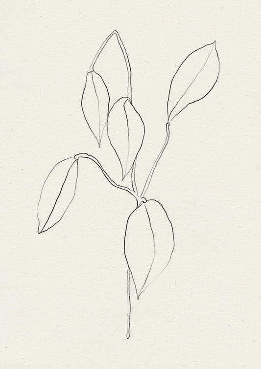 Whispering Leaf