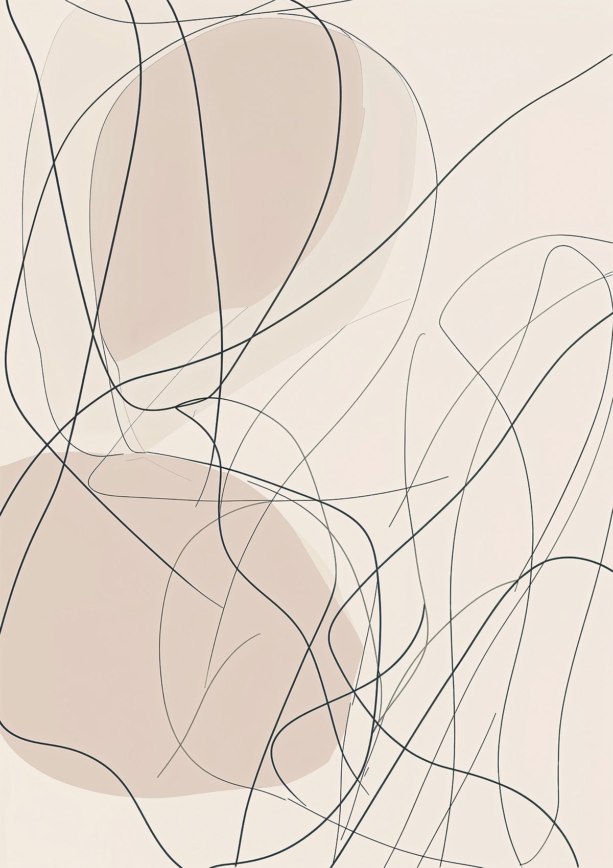 81191996621028