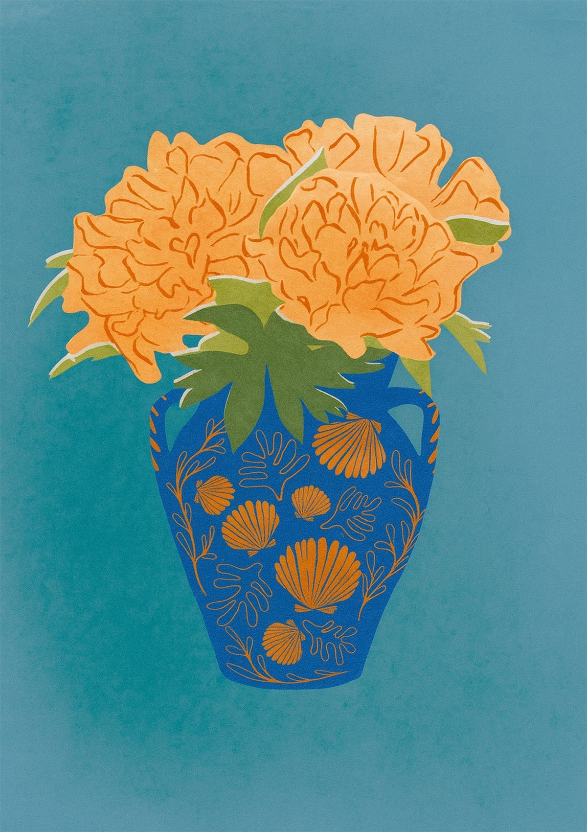 Citrus Shells