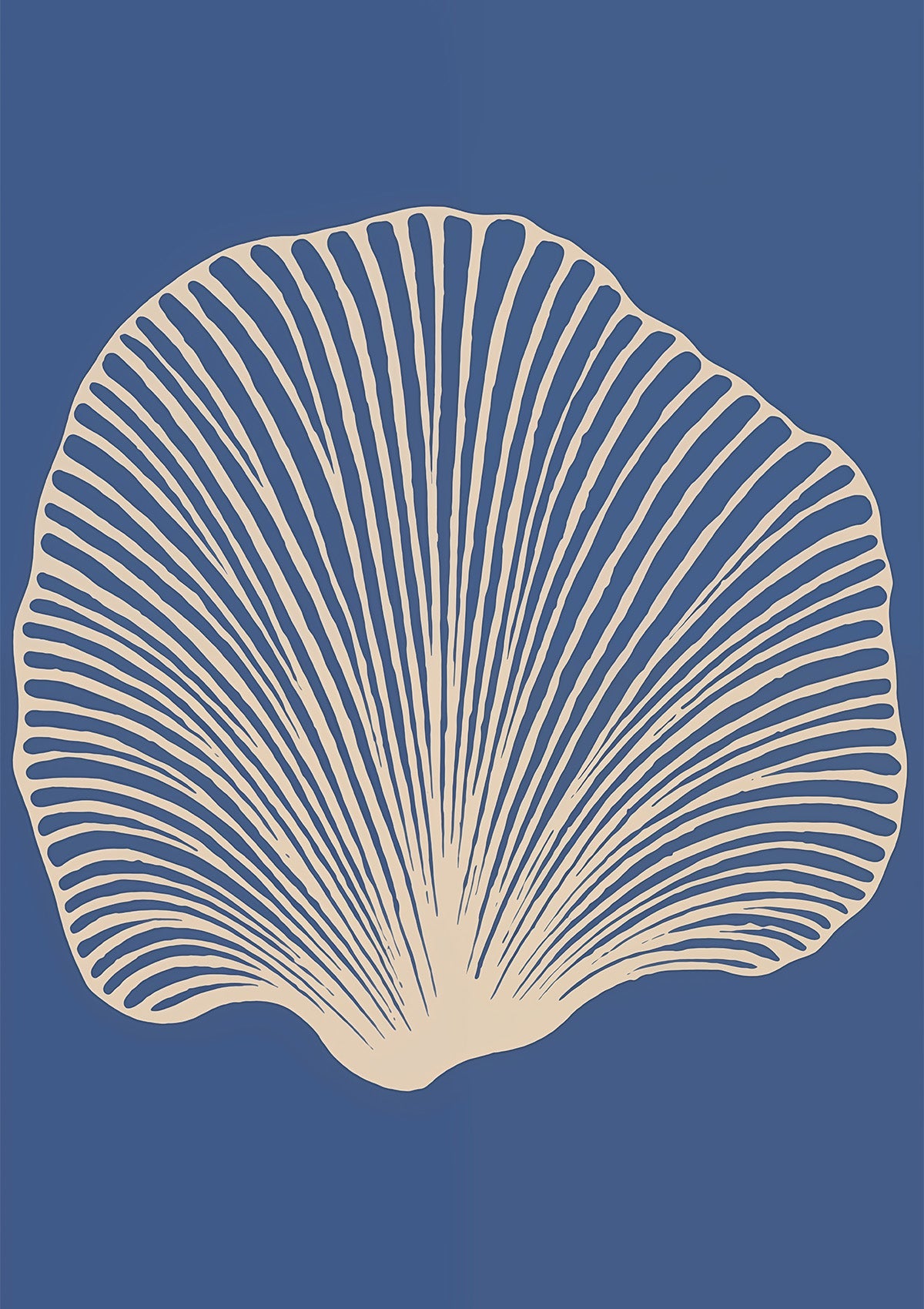 Coastal Echo