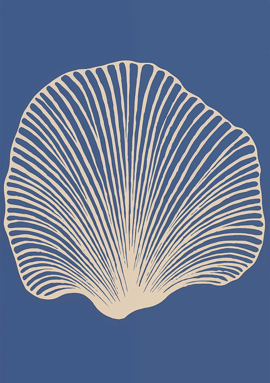Coastal Echo