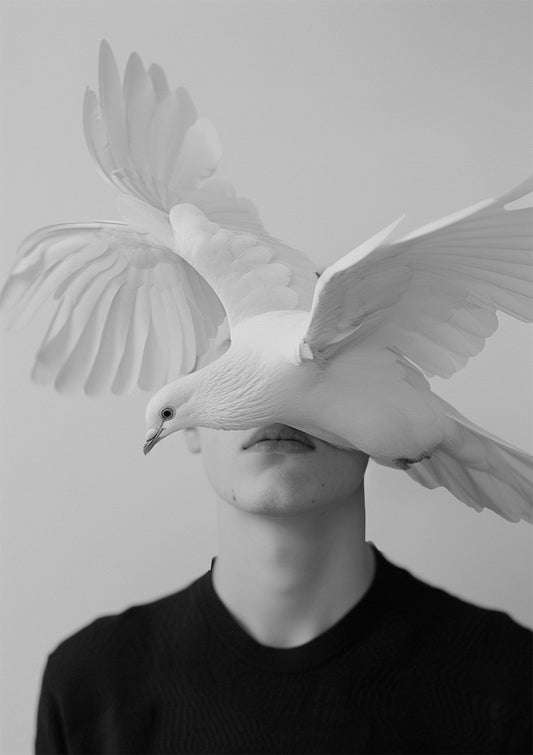 Silent Flight
