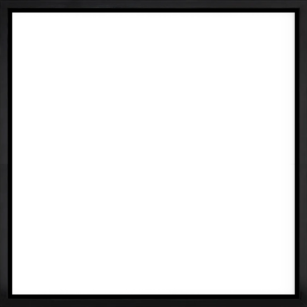 framed-canvas-black