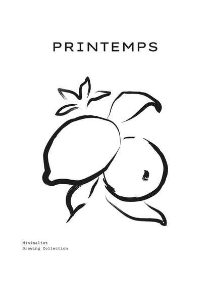 Citrus Lines