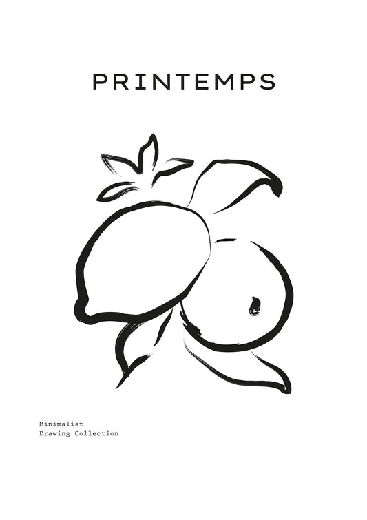Citrus Lines